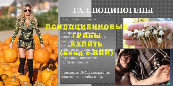apvp Краснослободск