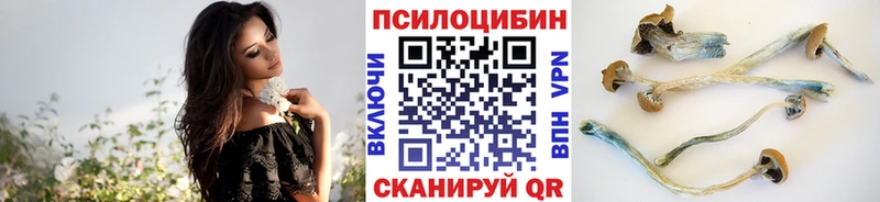 Псилоцибиновые грибы прущие грибы  Купить где  Щёкино 